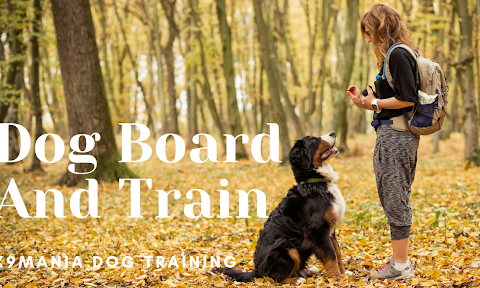 K9 Mania | Explaining the Advantages of Dog Board and Train Programs