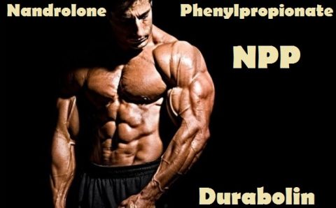 Best NPP Steroid Cycle, Results, Side Effects & Dosage Before And After