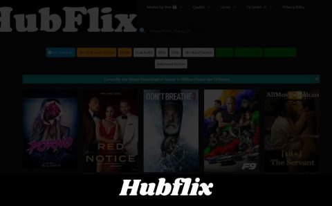 Hubflix 2022 – Download Latest Bollywood, Hollywood Full HD movies for Free