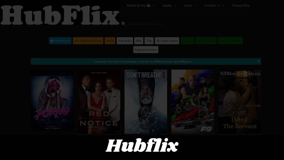 Hubflix 2022 – Download Latest Bollywood, Hollywood Full HD movies for Free