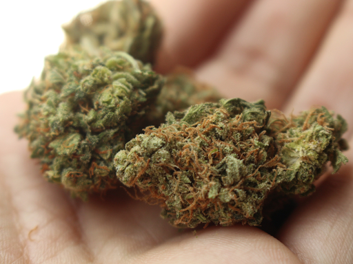A Guide on How to Distinguish Good Weed From Bad Weed
